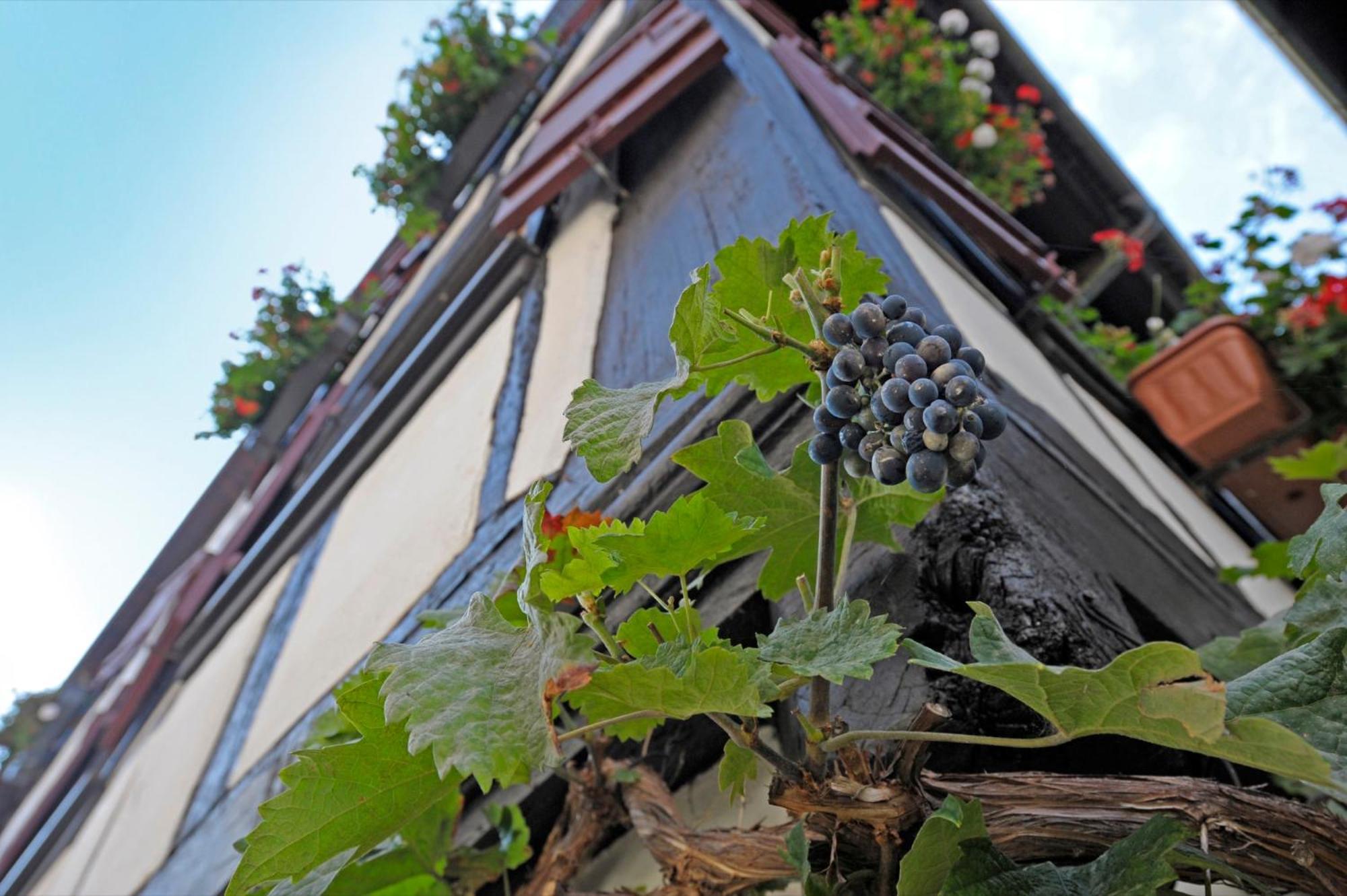 Strumpfweberhaus Schiltach Exteriér fotografie